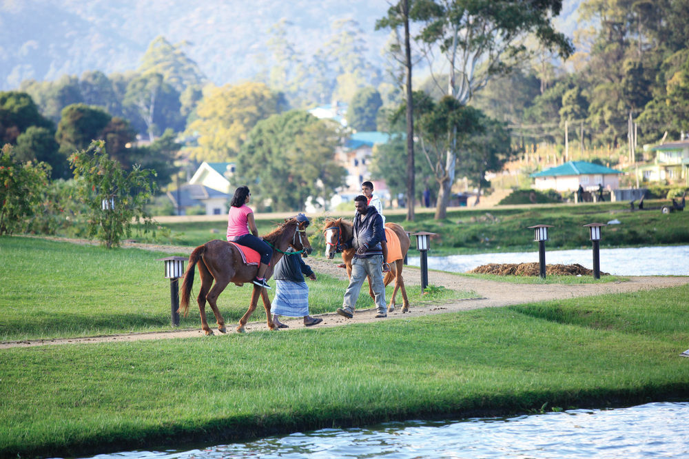 Queenswood Cottage Nuwara Eliya Exteriér fotografie